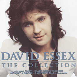 Album cover of The Collection