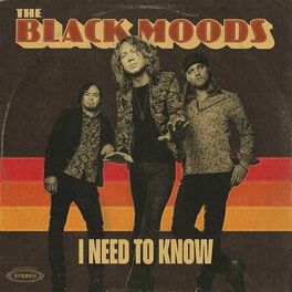 Album cover of I Need to Know