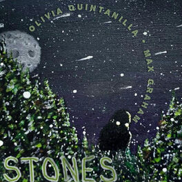Album cover of Stones (feat. Max Graham)