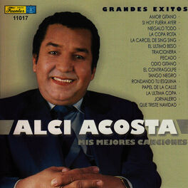 Album cover of Grandes Exitos - Mis Mejores Canciones