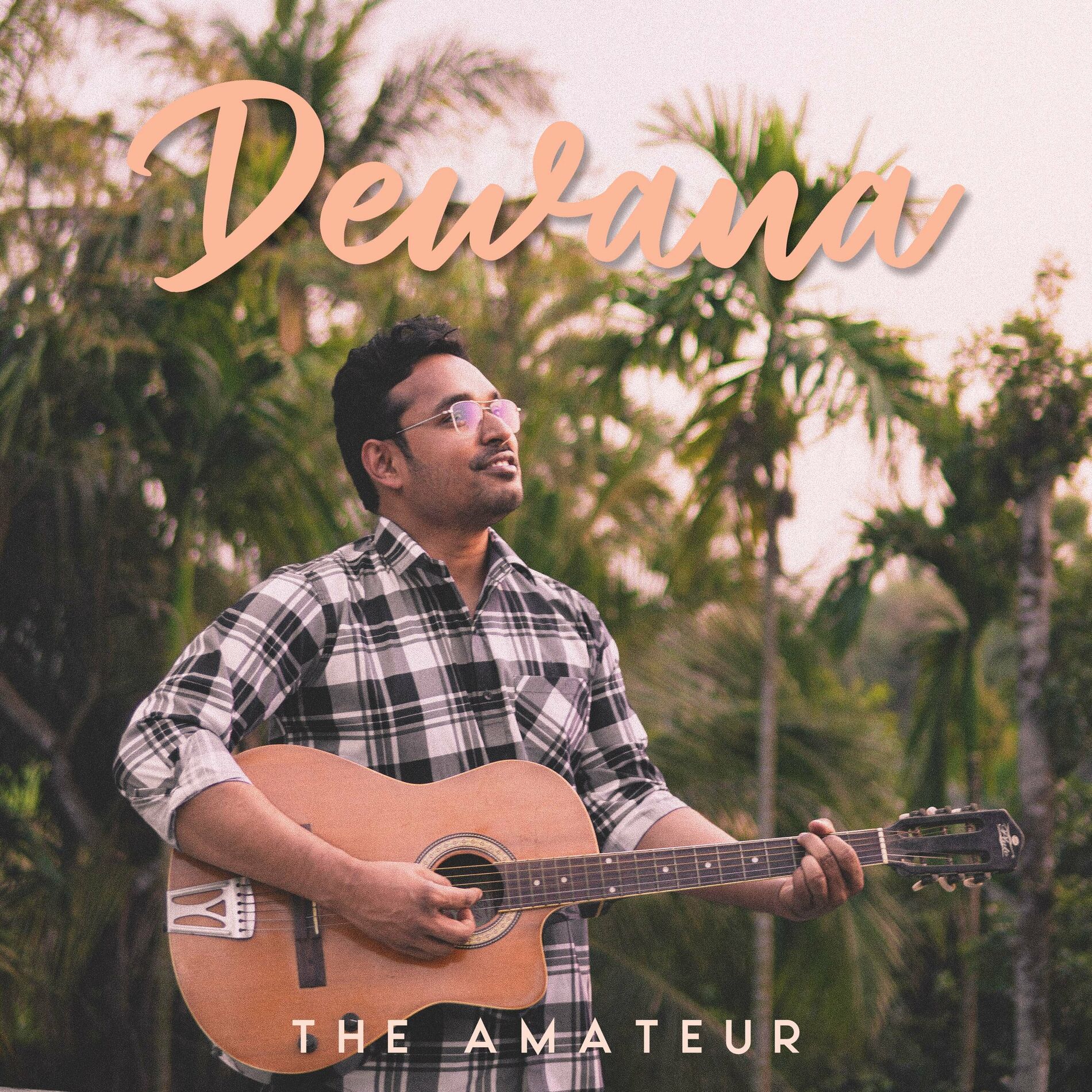 The Amateur: albums, songs, playlists | Listen on Deezer