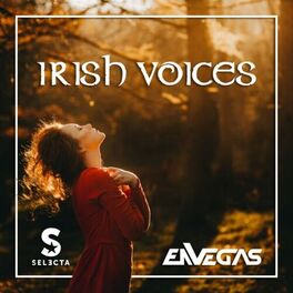Album cover of Irish Voices (Original Mix)
