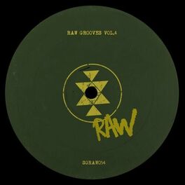 Album cover of Raw Grooves, Vol. 4