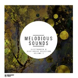 Album cover of Melodious Sounds, Vol. 7