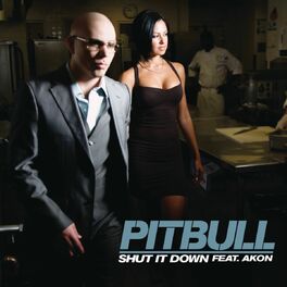 Album cover of Shut It Down (feat. Akon)