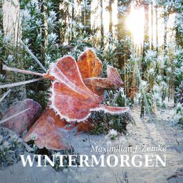 Album cover of Wintermorgen
