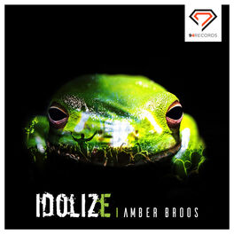 Album cover of Idolize