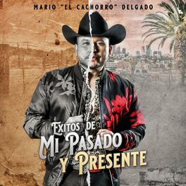 Album cover of Éxitos De Mi Pasado Y Presente