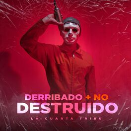 Album cover of Derribado Más No Destruido