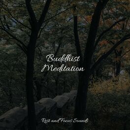 Album cover of Buddhist Meditation