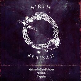 Album cover of Birth/Rebirth