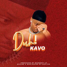 Album cover of Duh!