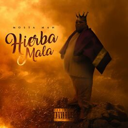 Album cover of Hierba Mala