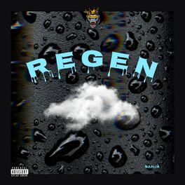 Album cover of Regen