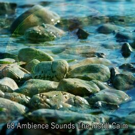Album cover of 68 Ambience Sounds The Instill Calm