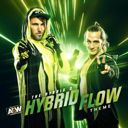 Album cover of Hybrid Flow: The Hybrid 2 A.E.W. Theme