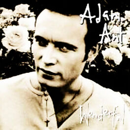 Album cover of Extra Wonderful