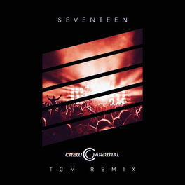 Album cover of Seventeen (feat. TCM)