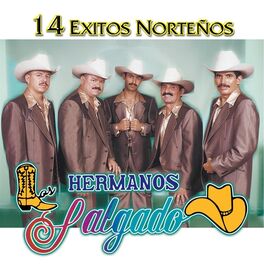 Album cover of 14 Exitos Norteños