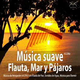 Album cover of Música suave Flauta, Mar y Pájaros - Música de Relajación (432Hz) con Flauta de Pan, Sonidos de Agua, Música para Dormir