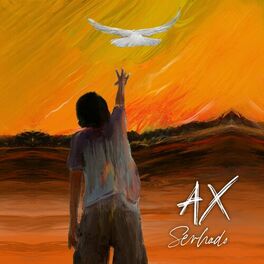 Album cover of Ax