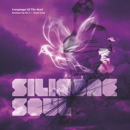Album cover of Language of the Soul