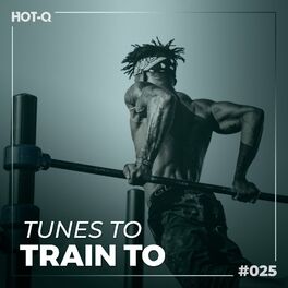Album cover of Tunes To Train To 025