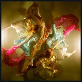 Album cover of Albatross