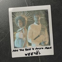 Album cover of Weetël
