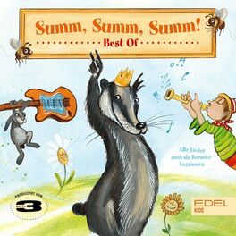 Album cover of Summ, Summ, Summ! - Best Of