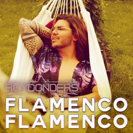 Album cover of Flamenco Flamenco