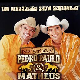 Album cover of Puro Sertanejo