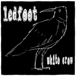 Album cover of White Crow