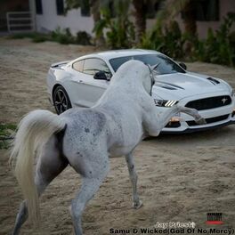 Album cover of Horse