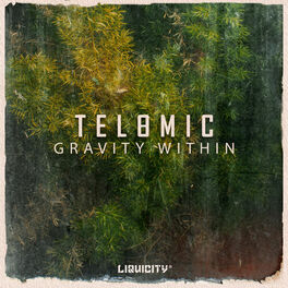 Album cover of Gravity Within