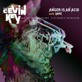 Album cover of Anger is an Acid