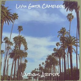 Album cover of Liviu Guta Cameleon