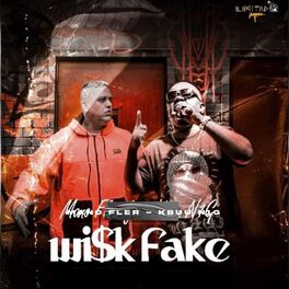 Album cover of Wisk Fake