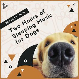 Album cover of 2 Hours of Sleeping Music for Dogs