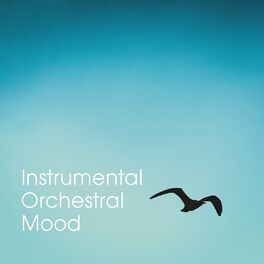 Album cover of Instrumental Orchestral Mood