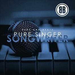 Album cover of Pure Singer Songwriter