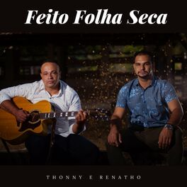 Album cover of Feito Folha Seca