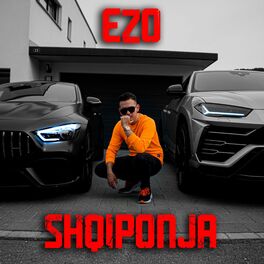Album cover of Shqiponja