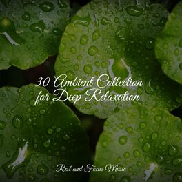 Album cover of 30 Ambient Collection for Deep Relaxation