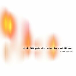 Album cover of Droid 164 Gets Distracted by a Wildflower