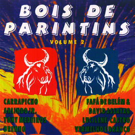 Album cover of Bois de Parintins , Vol 2