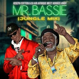 Album cover of Mr. Bassie (Jungle Mix)