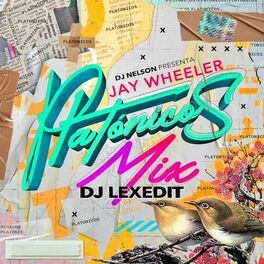 Album cover of Platónicos Mix (DJ Mix)