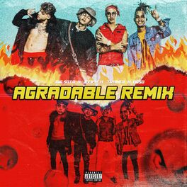 Album cover of Agradable Remix (feat. Trainer)