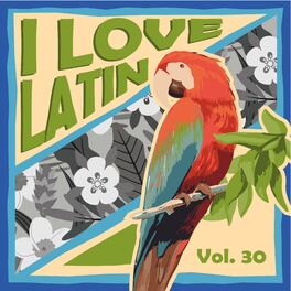 Album cover of I Love Latin, Vol. 30